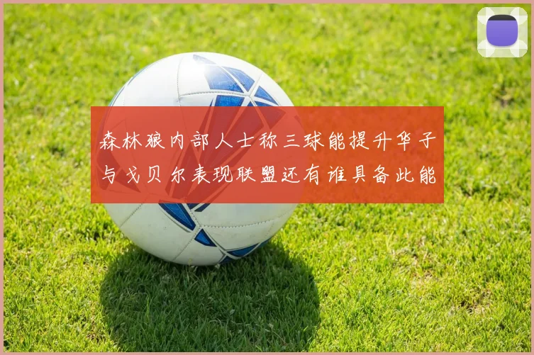 森林狼内部人士称三球能提升华子与戈贝尔表现联盟还有谁具备此能力