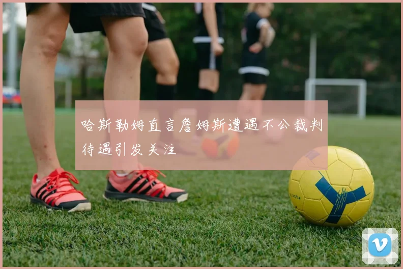 哈斯勒姆直言詹姆斯遭遇不公裁判待遇引发关注