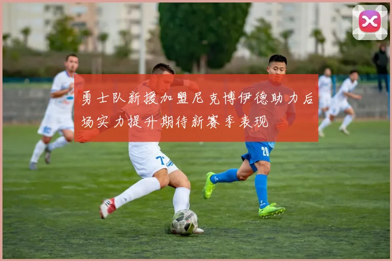 勇士队新援加盟尼克博伊德助力后场实力提升期待新赛季表现